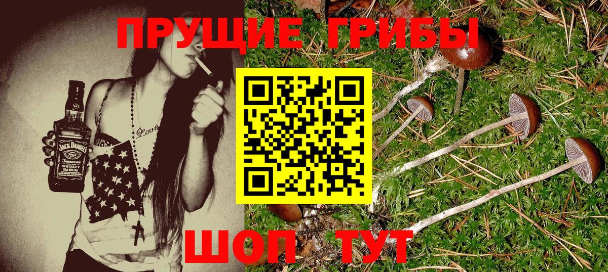 Галлюциногенные грибы мицелий Урюпинск